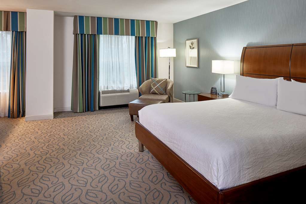 Hilton Garden Inn Atlanta Midtown Bilik gambar