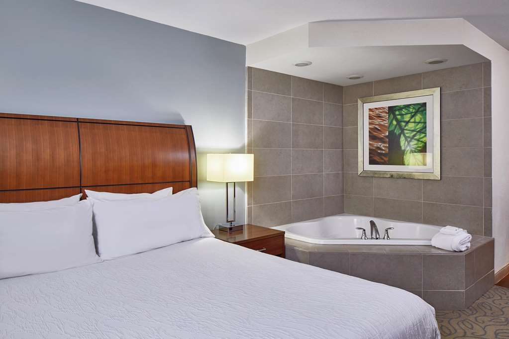 Hilton Garden Inn Atlanta Midtown Bilik gambar